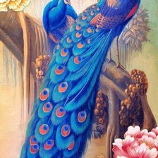 Схема вышивки «Павлин»