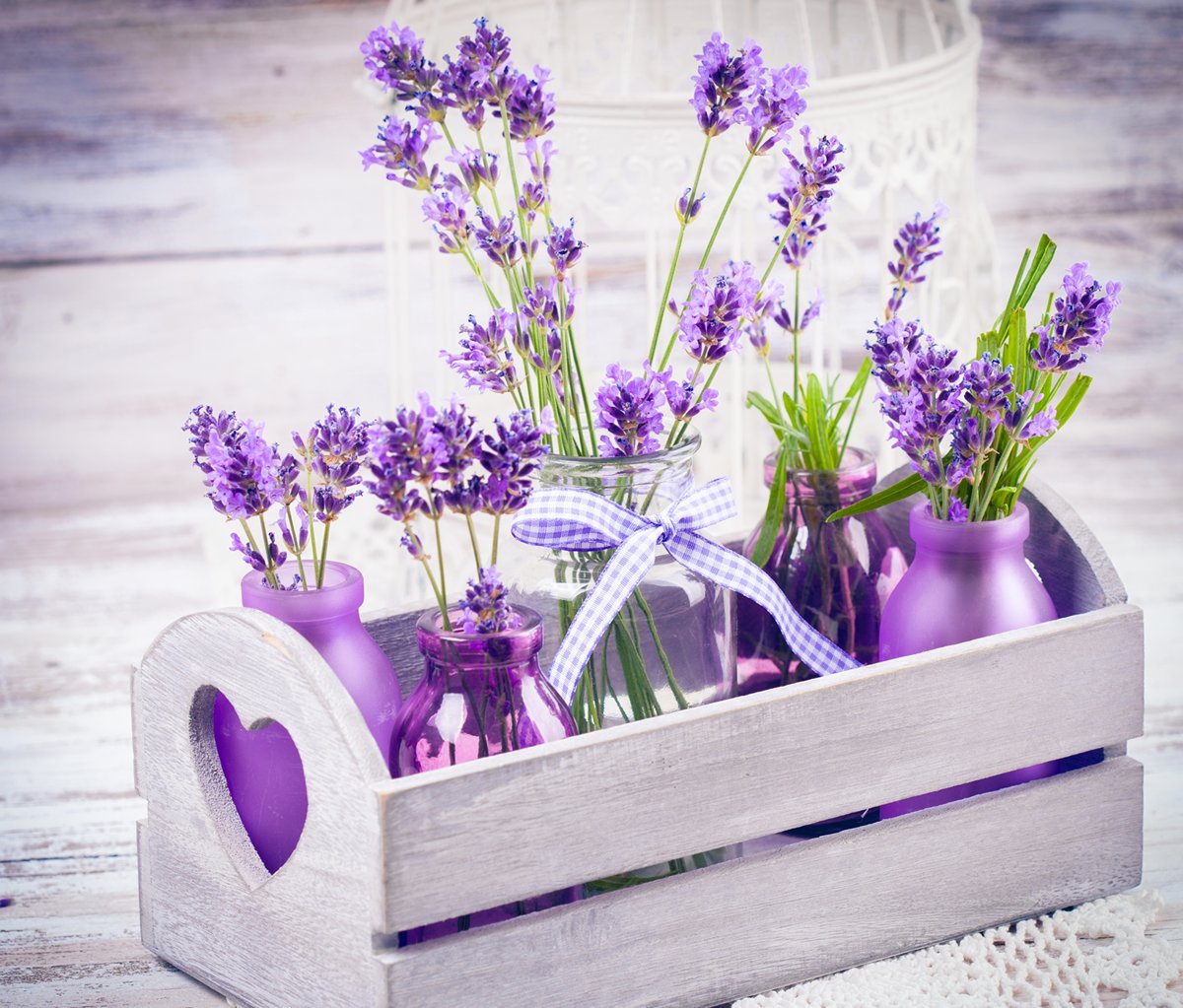 Лаванда - цветы, корзина, букеты - оригинал