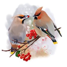 Схема вышивки «Птички»