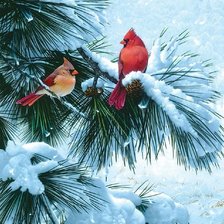 Схема вышивки «Птички»