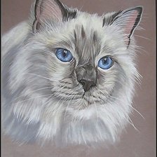 Схема вышивки «котик»