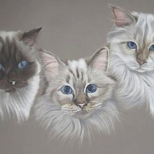 Схема вышивки «рисунок»