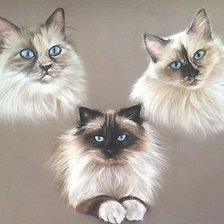 Схема вышивки «рисунок»