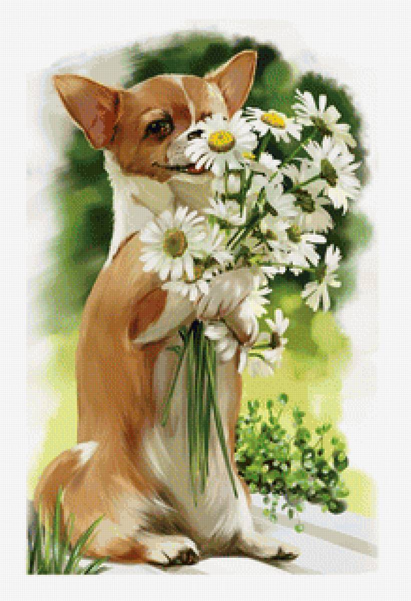 Щенок и ромашки - цветы, щенок, рисунок, животные, собака, ромашки - предпросмотр