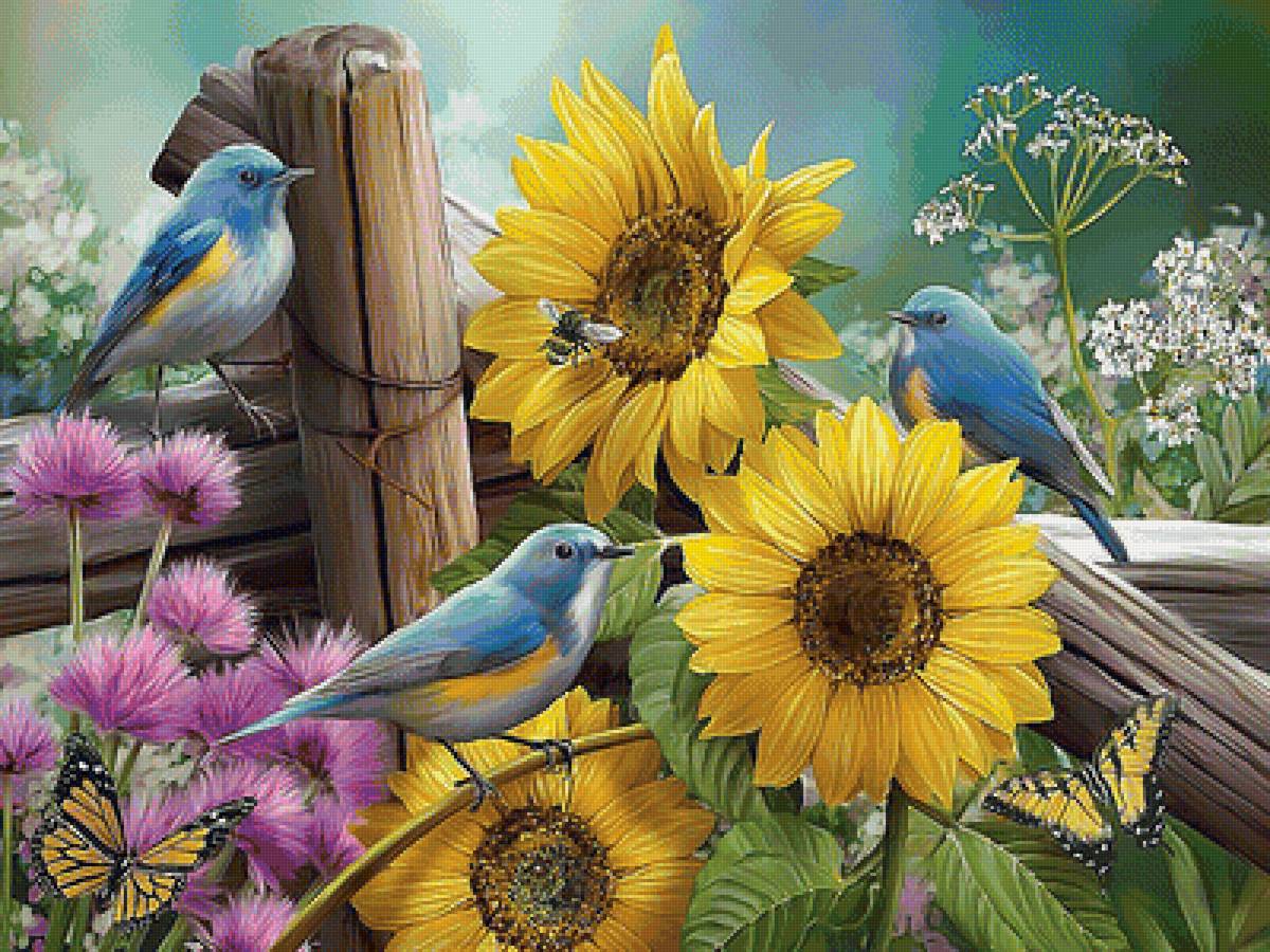 Серия "Птицы" - птицы, фауна - предпросмотр