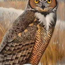 Схема вышивки «птицы»