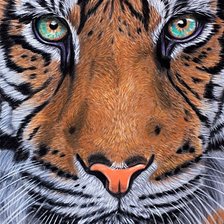 Схема вышивки «№1873802»