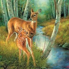 Олени у ручья