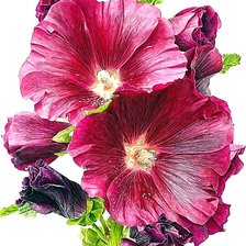 Схема вышивки «№1874049»