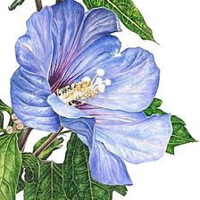 Схема вышивки «№1874059»