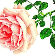 Схема вышивки «№1874060»