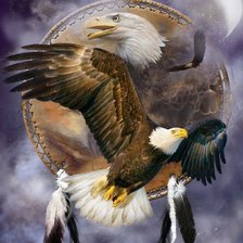 Схема вышивки «Орёл»