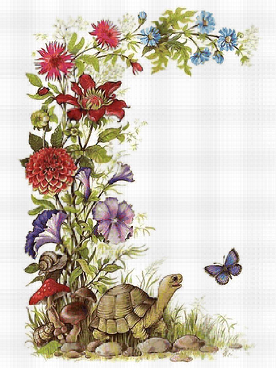 цветы и черепаха - предпросмотр