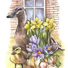 утка с утёнком