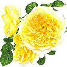 Схема вышивки «№1874183»