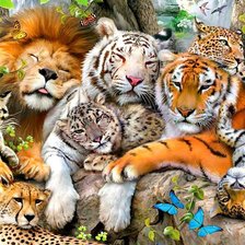 Схема вышивки «Большие кошки»