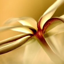 Схема вышивки «11111»