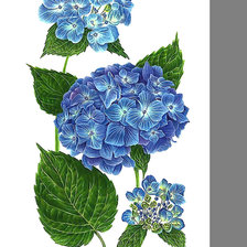 Схема вышивки «Серия "Гортензия"»