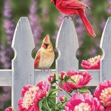 Схема вышивки «Птички»