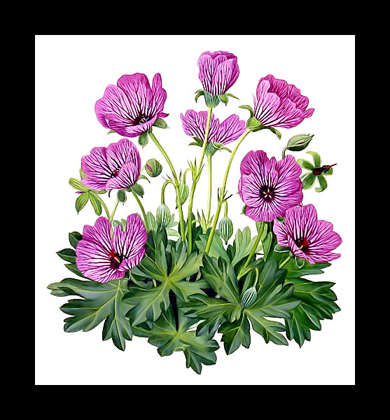 Серия "Букет". - цветы, букет, флора - оригинал