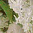 Предпросмотр схемы вышивки «Сирень» (№1875197)