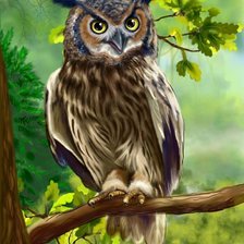 Схема вышивки «Сова на ветке»