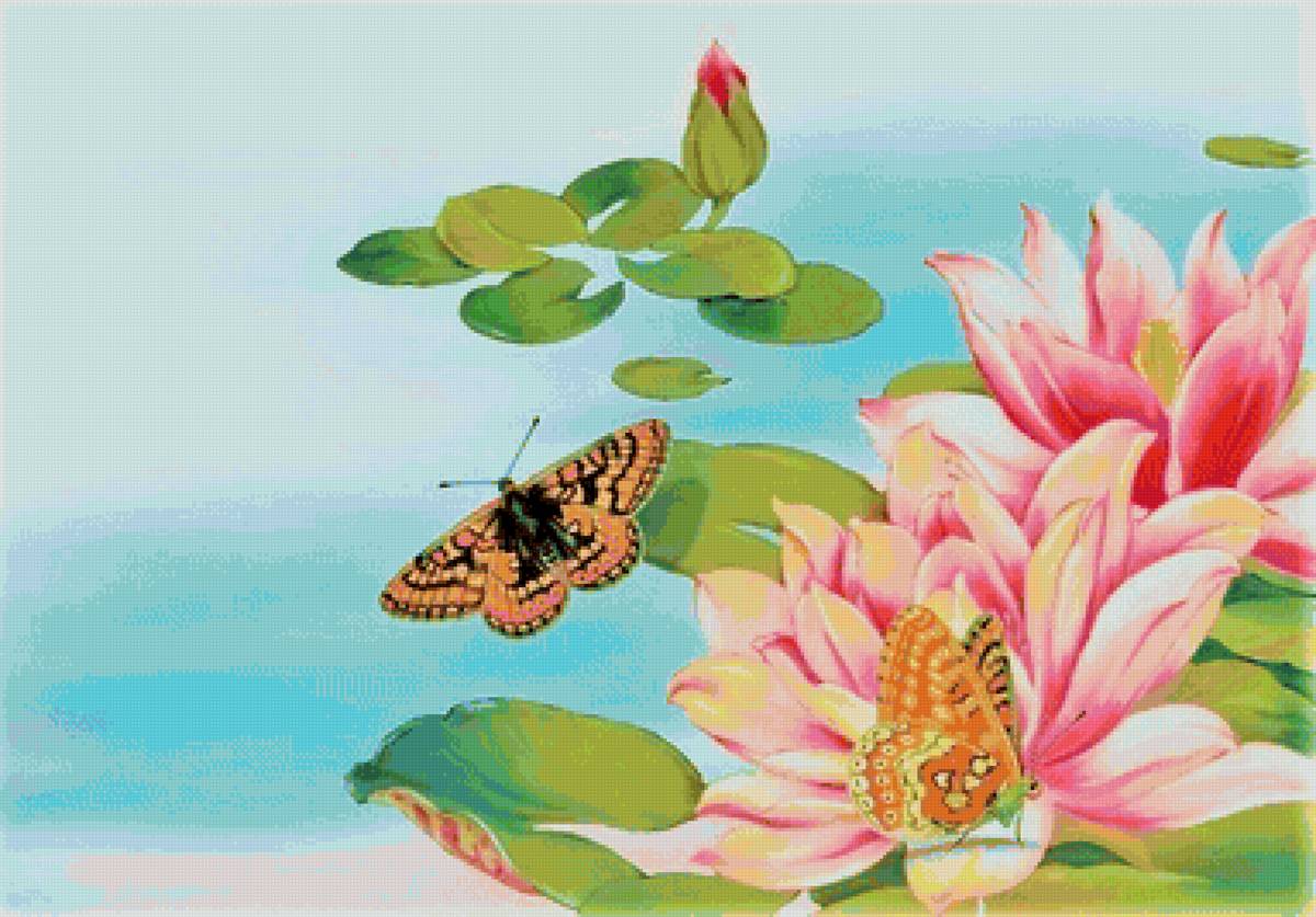 №1875564 - цветы, лето, бабочки - предпросмотр