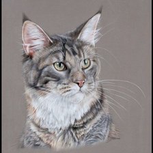 Схема вышивки «Кот»