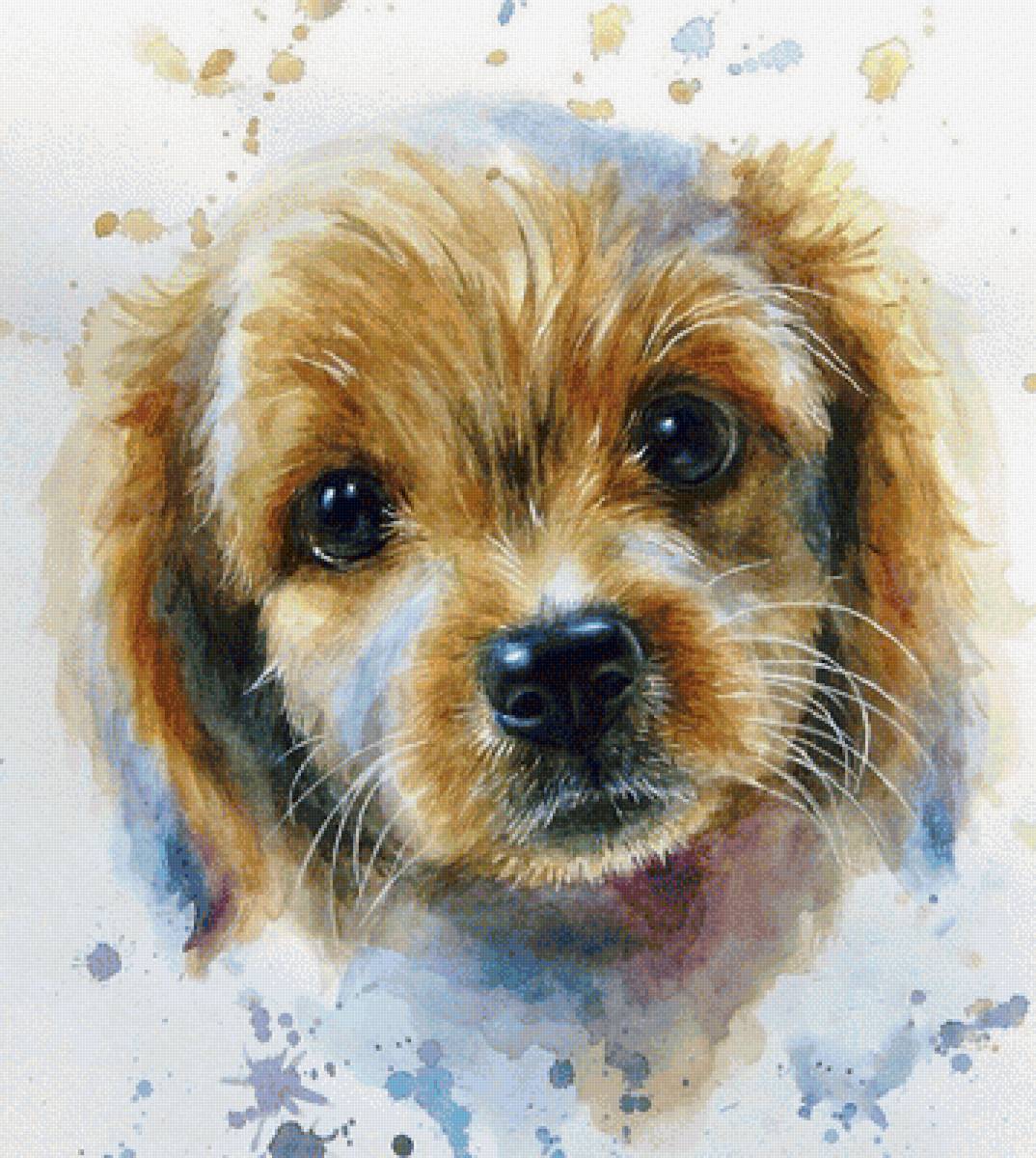 Щенок - щенок, собака, животные, рисунок - предпросмотр