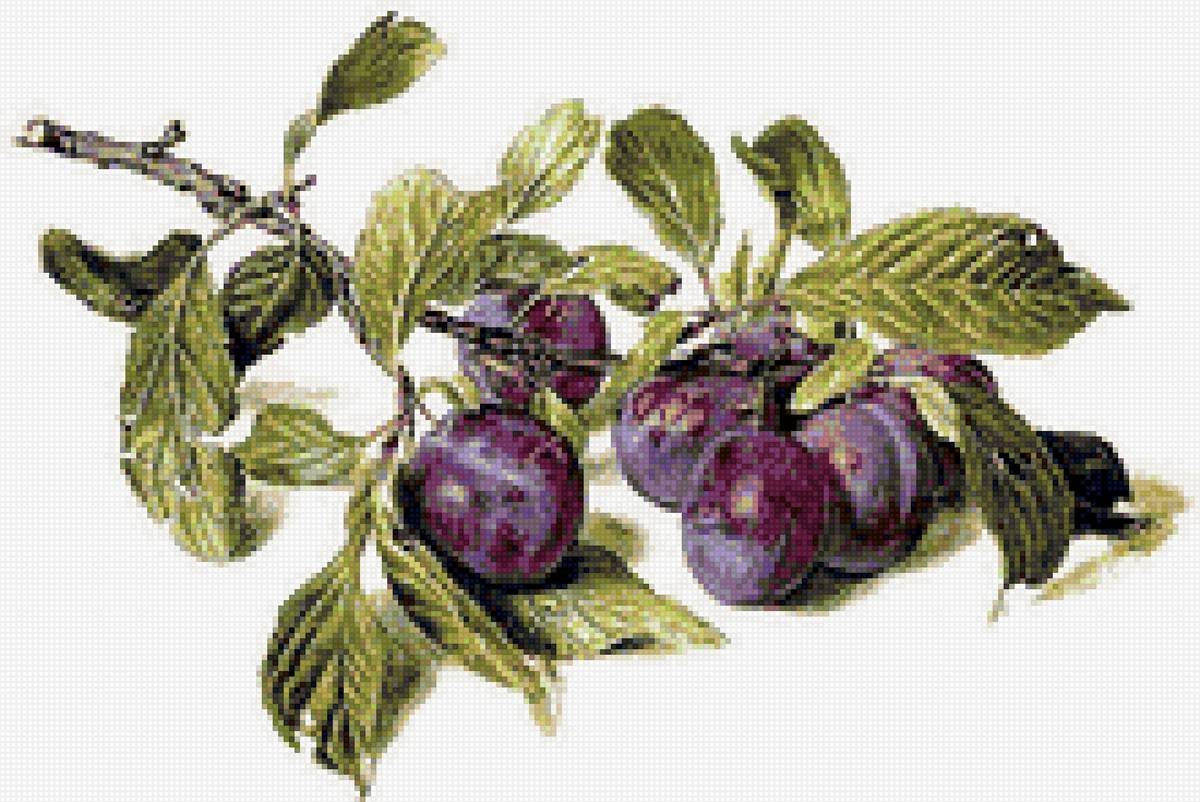 Ветка сливы - ветка, панно, сливы, для кухни - предпросмотр