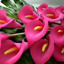 Схема вышивки «каллы»