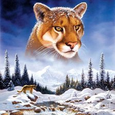 Схема вышивки «№1875775»