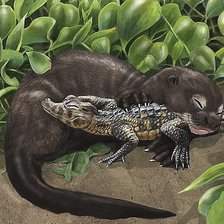 Схема вышивки «Детская»