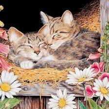 Схема вышивки «Котята на сене»