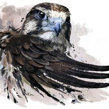 Схема вышивки «Орёл»