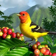 Схема вышивки «Птичка»