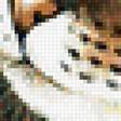 Предпросмотр схемы вышивки «котик» (№1876217)