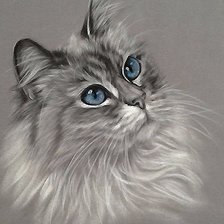 Схема вышивки «котик»