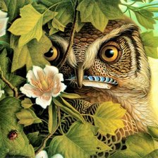 Схема вышивки «Сова»