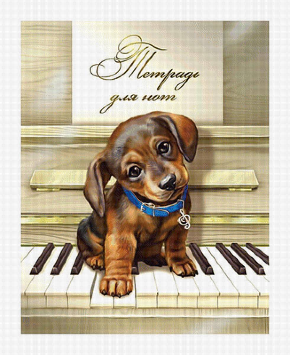 Серия "Собаки". Такса - собаки, такса, животные, щенок - предпросмотр