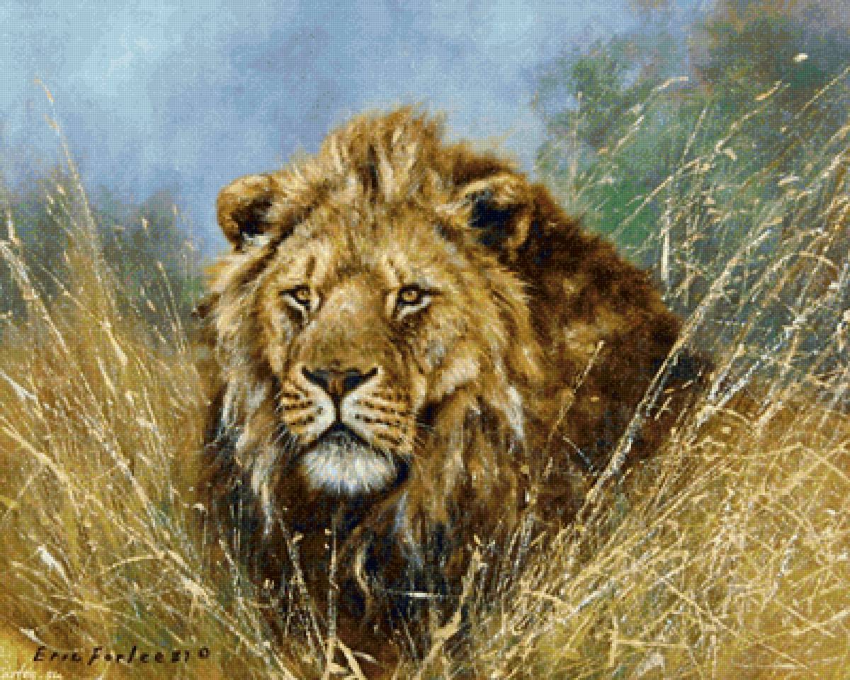 Лев в засаде - лев, охота, саванна - предпросмотр