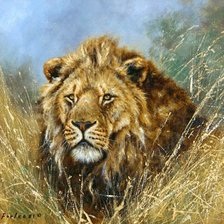 Схема вышивки «Лев в засаде»