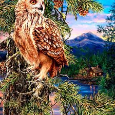 Схема вышивки «Сова»