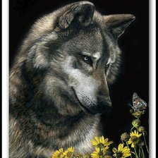 Схема вышивки «волки»