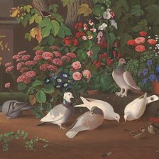 птицы в саду