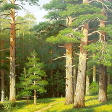 Схема вышивки «Тропинка в сосновом лесу»