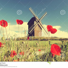 Схема вышивки «Мельница в маках»