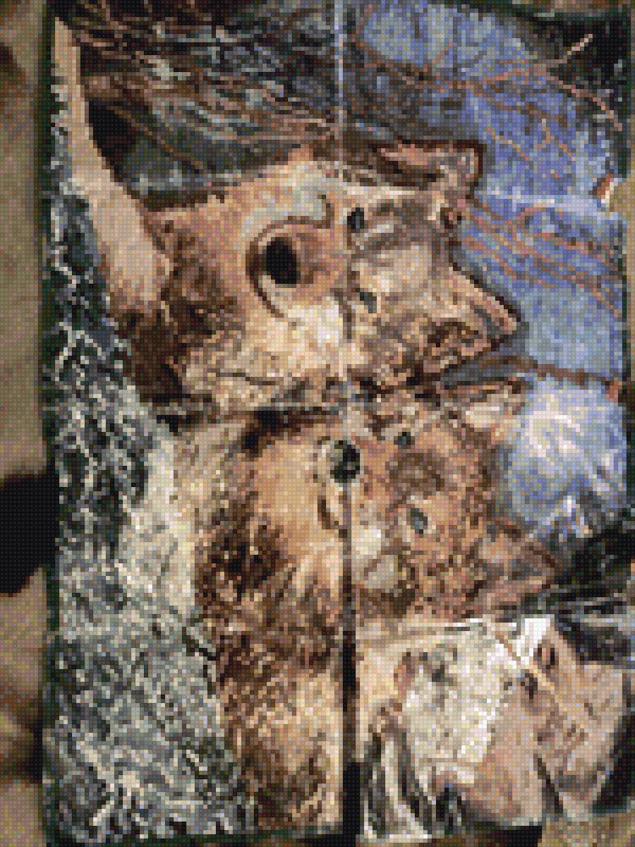 Два волка - предпросмотр