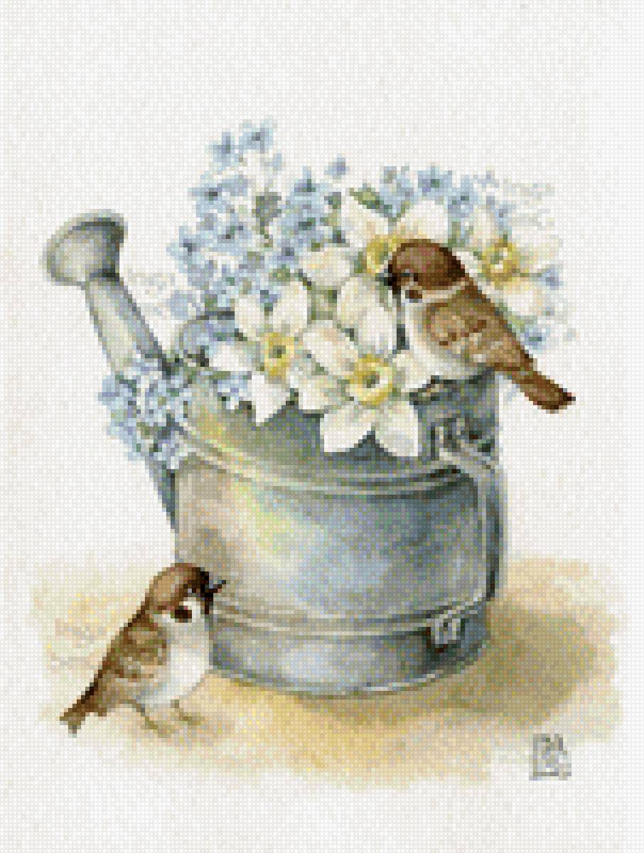 воробушки - воробьи, нарциссы - предпросмотр