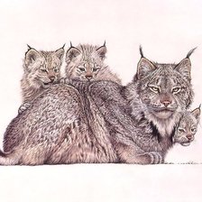 Схема вышивки «семья рыси»